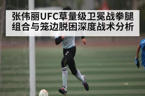 张伟丽UFC草量级卫冕战拳腿组合与笼边脱困深度战术分析